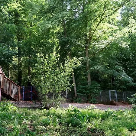 Hexenhaeuschen Am Waldrand Annweiler am Trifels
